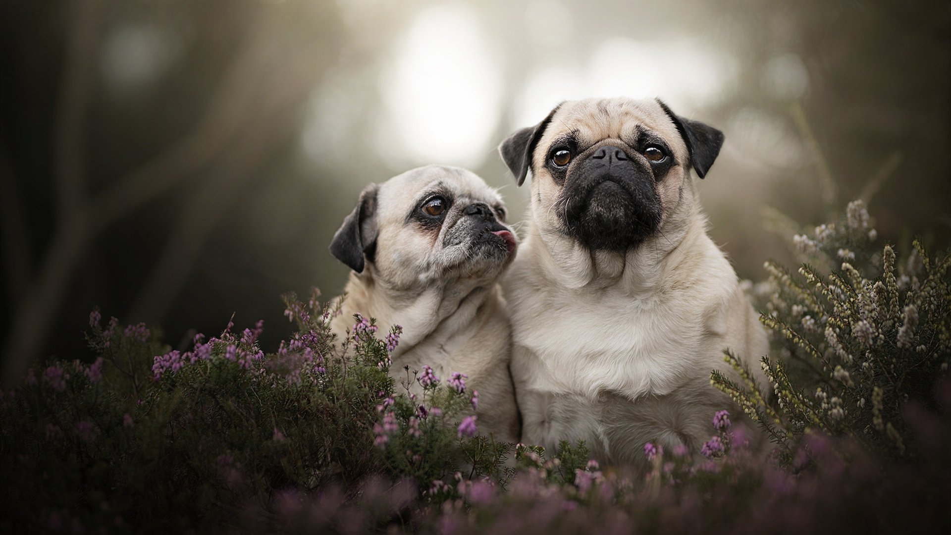 Kaiyun官方登录入口-CS2 战队人员变动频繁 新老选手交替，cs队伍