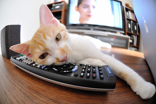 Kaiyun APP-_骑士年轻新星持续发光，未来可期_，骑士lx