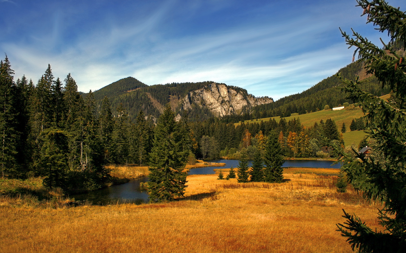 开云下载-“中国青年足球联赛持续火热，发掘未来之星”，中国青年队足球队员名单