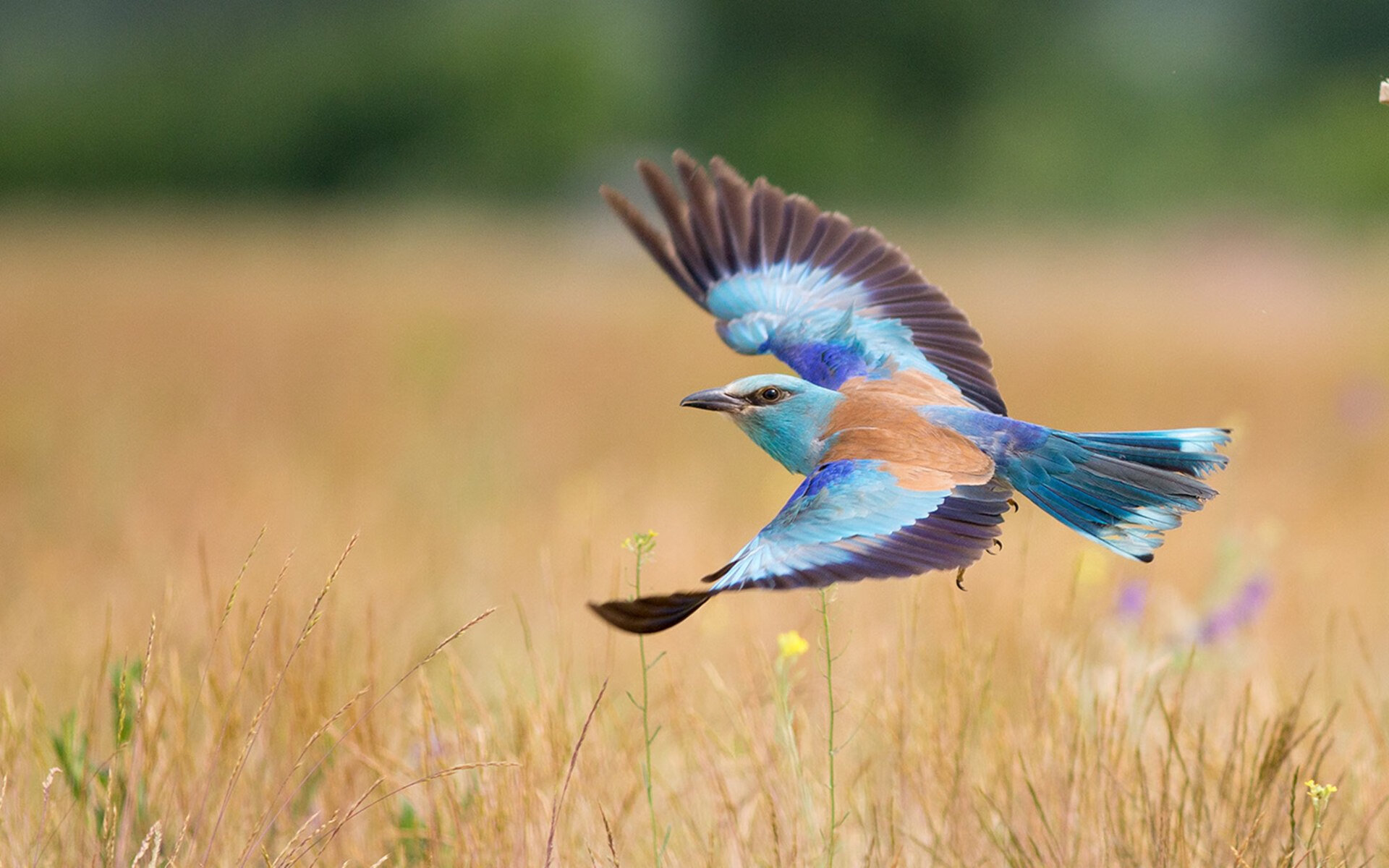 开云·体育官方网站入口-“极地奇景”——从雪山到海底的全球赛场亮点，极地海底世界冰雪乐园