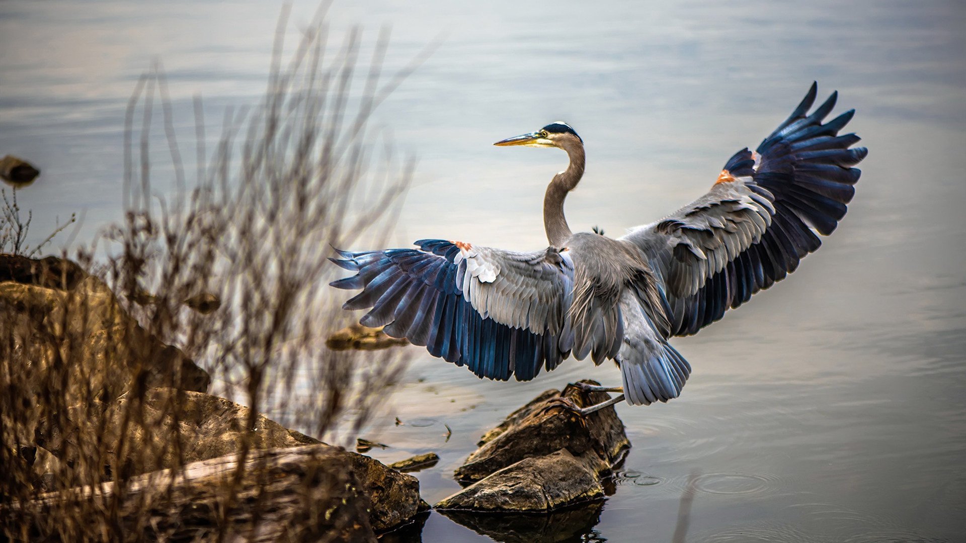 Kaiyun(中国)开云-“足球+文化+旅游”深度融合产业在全国多地加速推动，行业前景光明