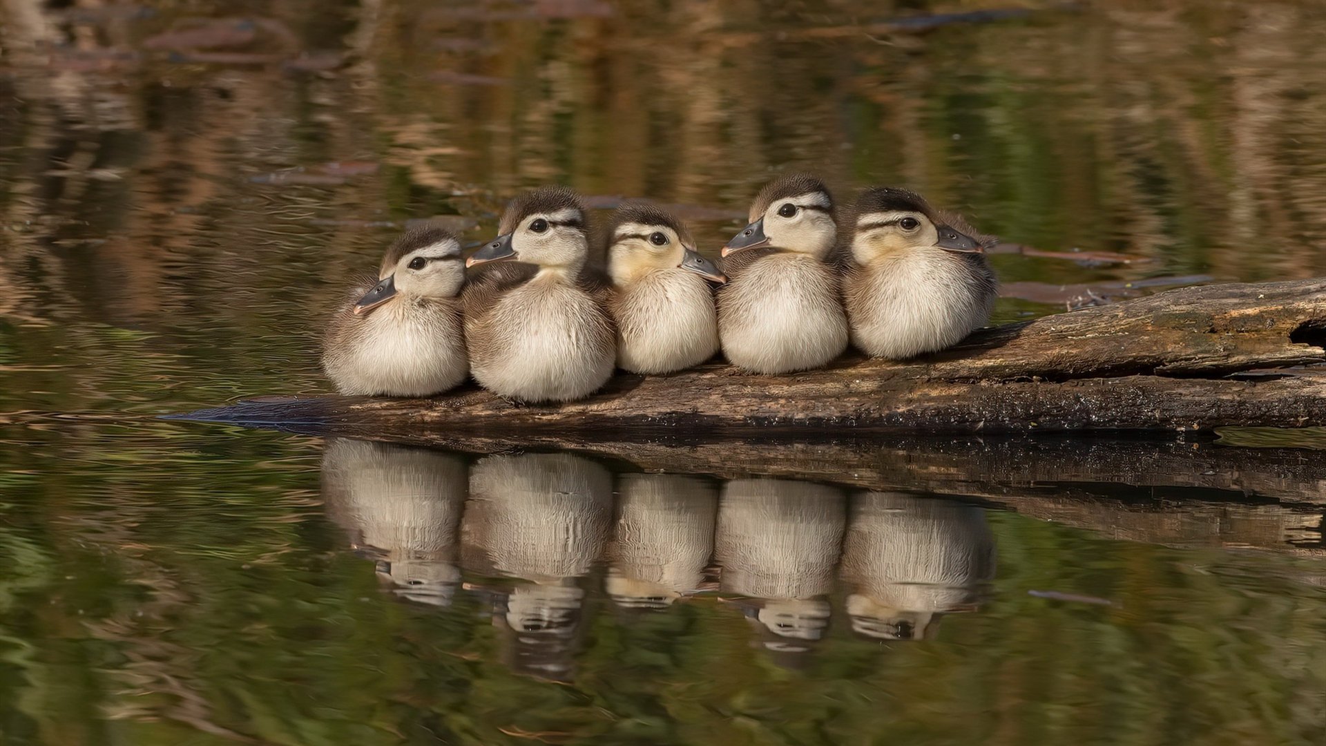 kaiyun体育app-“青训明星教练走进校园，激励青少年追梦足球”，著名足球青训教练