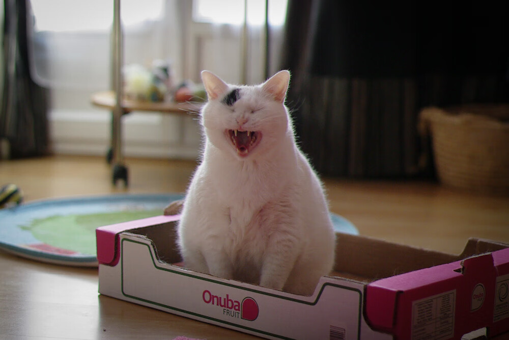 kaiyun体育综合-中国篮协举办“篮球公益推广月”，全民参与热情高涨，篮球公益广告语