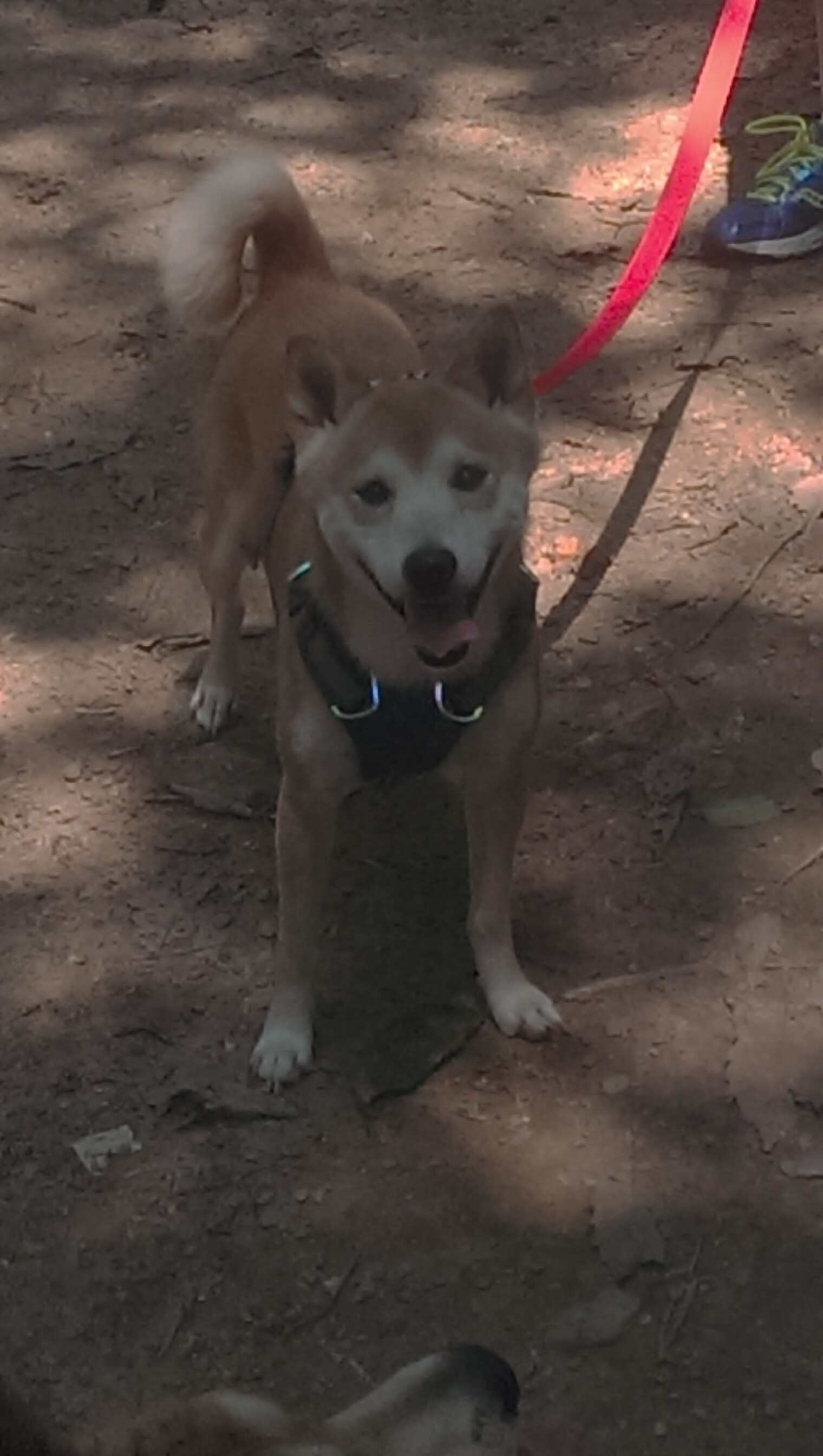 kaiyun.com-逆境中的“中坚力量”：伤愈归来的队伍支柱，逆境中的坚强苦难中的力量