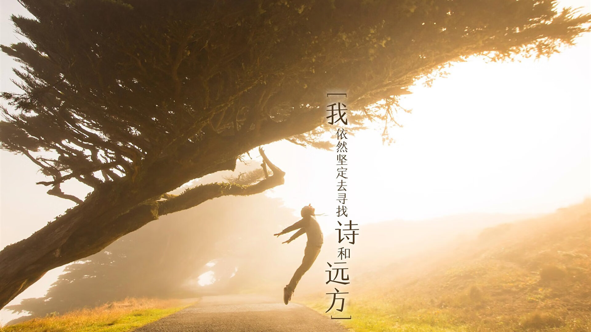 开云网页版登录入口-悉尼国王防守端表现稳固，悉尼国王防守端表现稳固吗