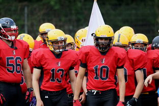 开云官网APP下载-中超球员年度射门类型结构分类，足球门将射门