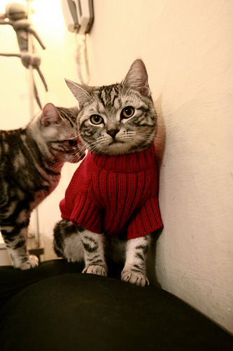 Kaiyun(中国)开云-CBA球队强化心理辅导工作，篮球运动员心理训练计划