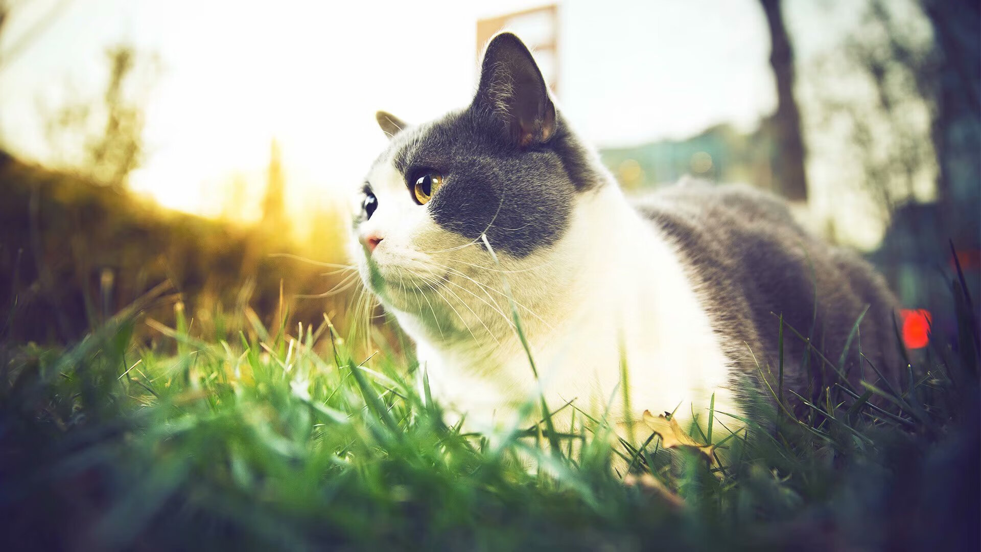 开云·体育全站登录地址-瑞典乒乓球队的战术亮点：快速反应与精准落点，瑞典著名乒乓球有哪些选手