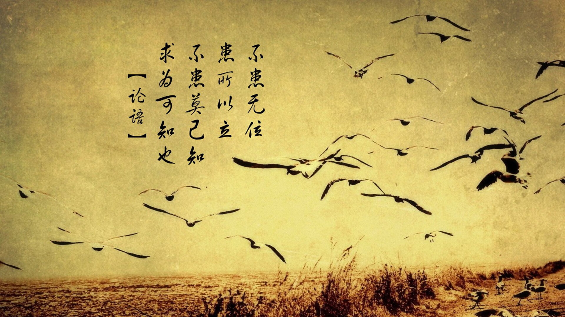 kaiyun体育app-“尼古拉斯·桑特基的领导力与冷静决策，为美洲狮队打下坚实基础”