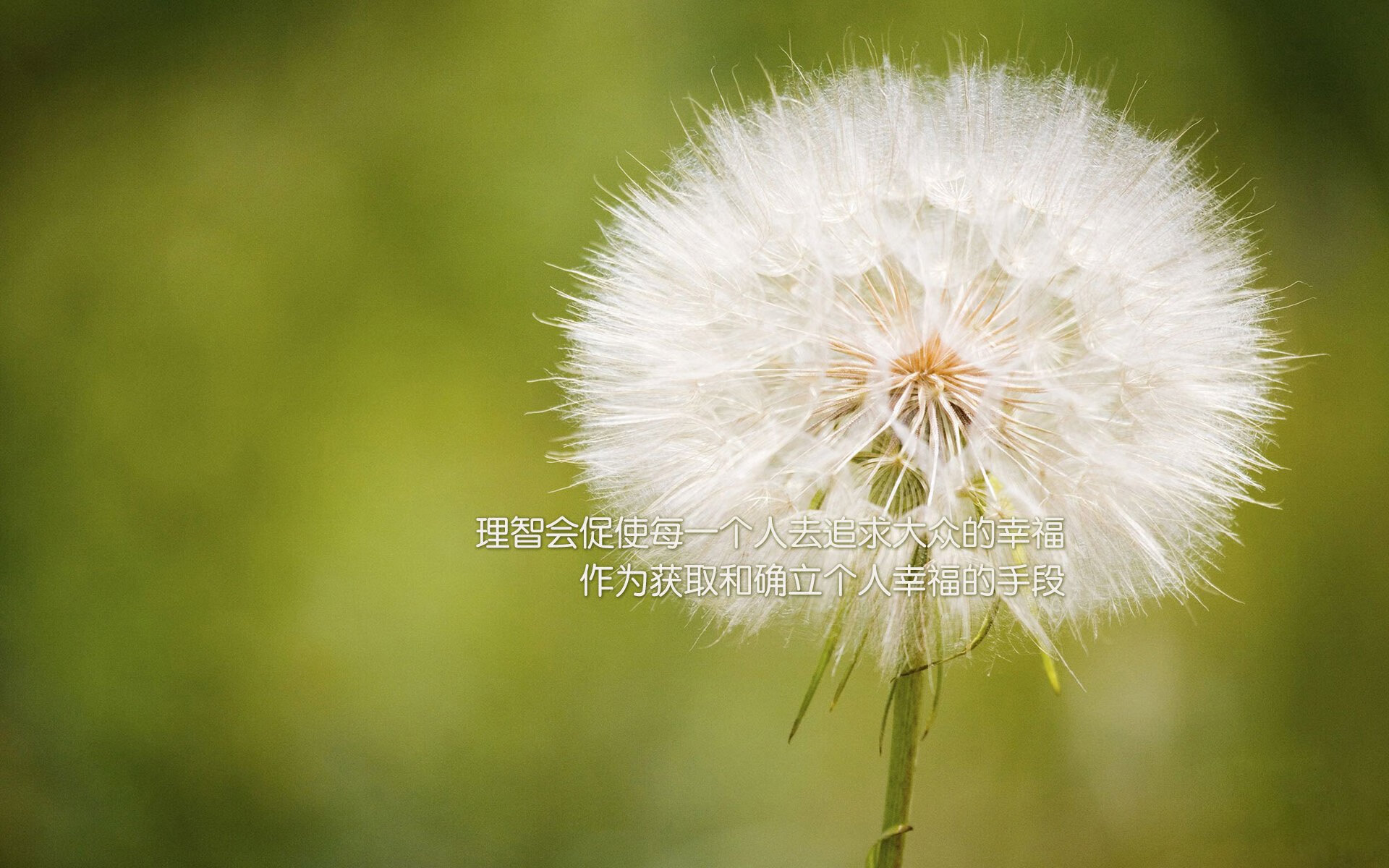 开云官方-吉尔吉斯斯坦男篮在亚洲预赛中拼搏，追逐突破