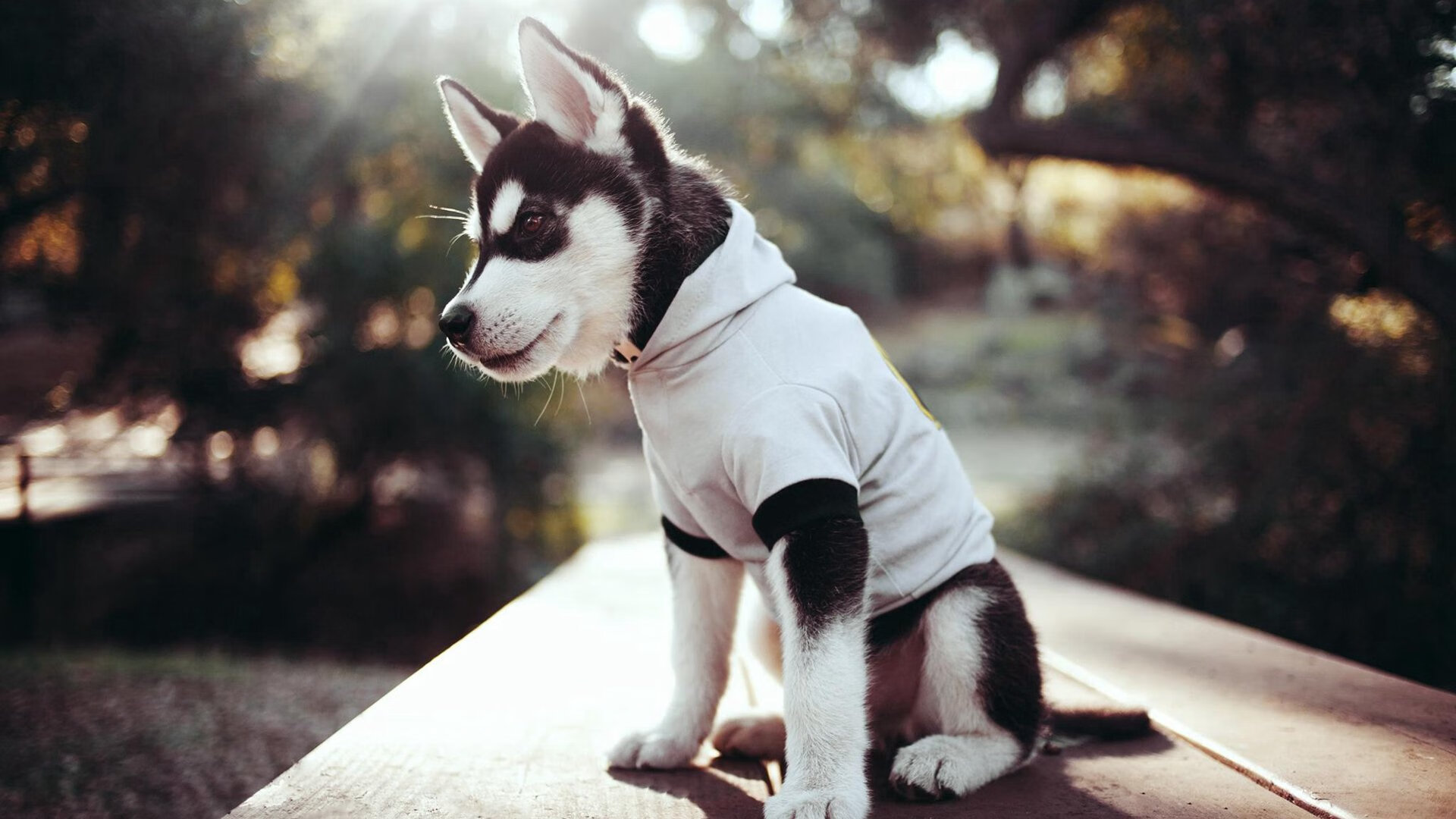 开云在线直播-巴雷特：灵活的突破和精准的长传能力，让他成为全黑队进攻的心脏