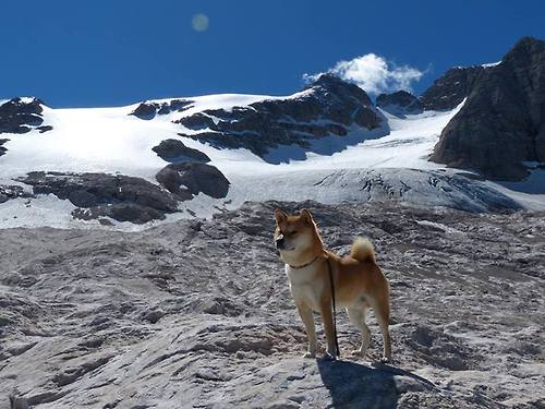 开云官网首页-篮网大咖直播互动引粉丝打call,篮网 视频